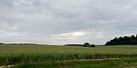 Lukovany
