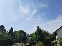 Olešná