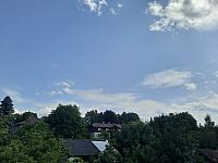 Olešná