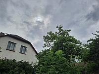 Olešná