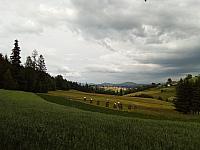 Jaworzynka