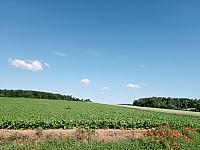 Ostrovačice