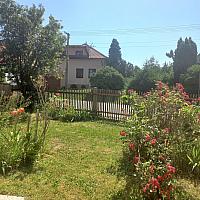 Třibřichy