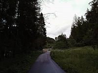 Hrčava