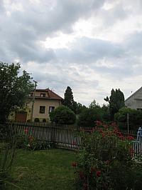Třibřichy