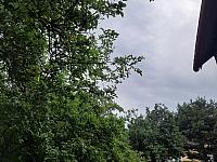 Olešná