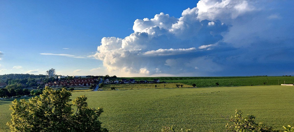 Vinařice