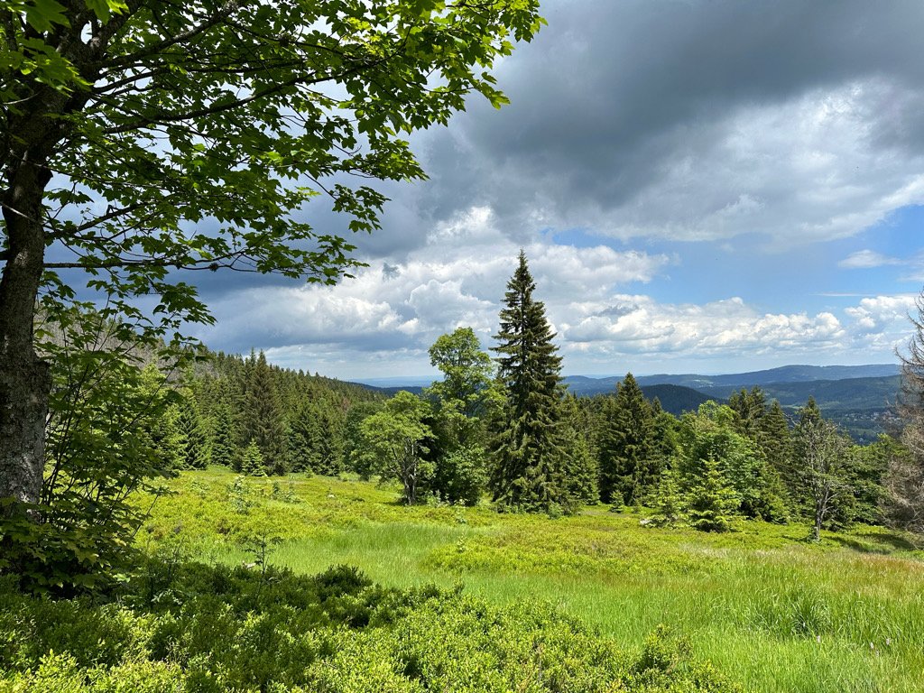 Zelená Hora