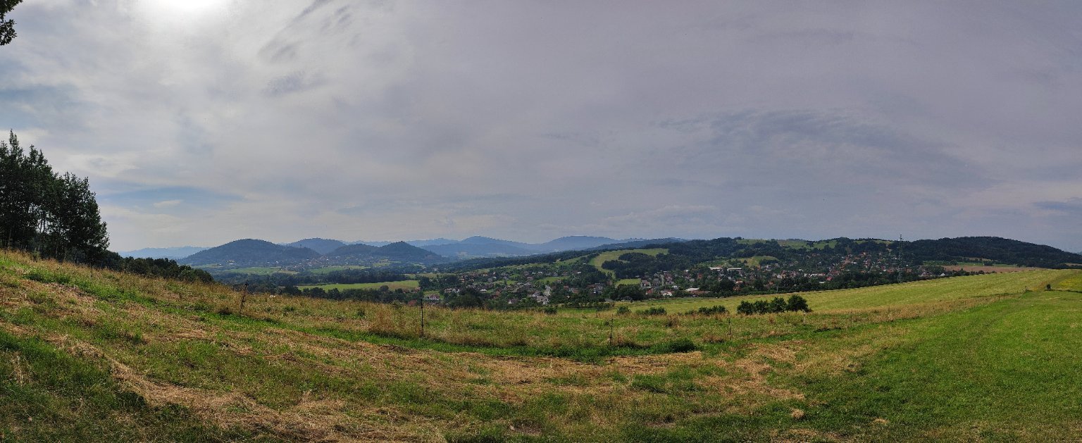 Rybí