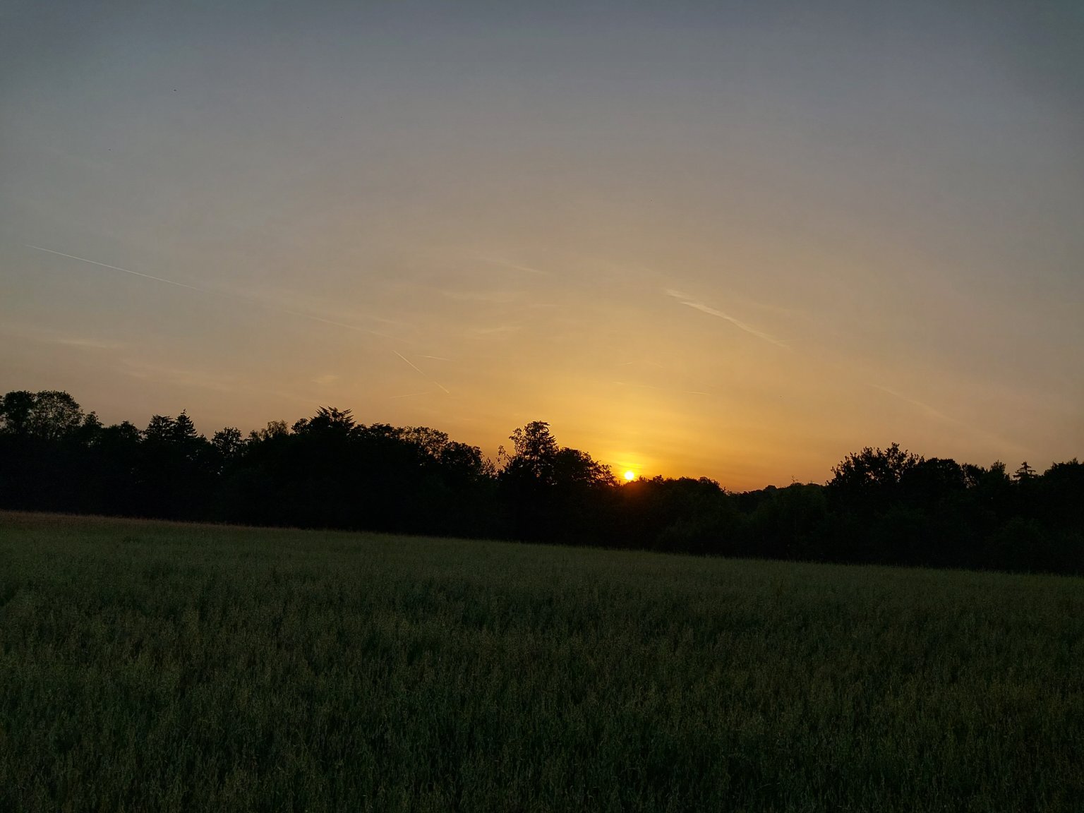 Koňákov