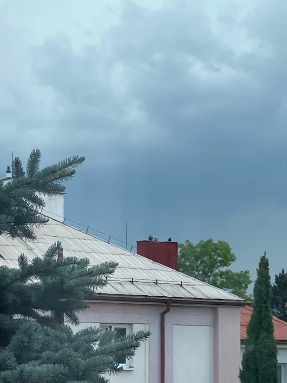 Polička