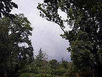 Habrovany