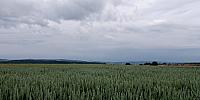 Lukovany