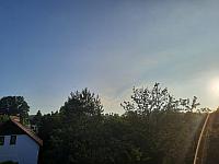 Olešná
