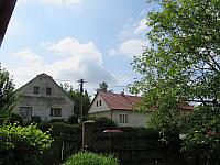 Třibřichy