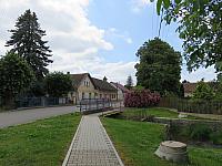 Třibřichy