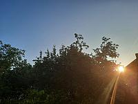 Olešná