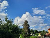 Olešná