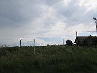 Třibřichy
