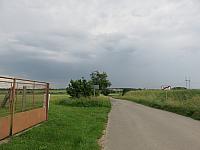 Třibřichy