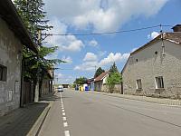 Třibřichy