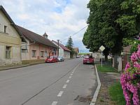 Třibřichy