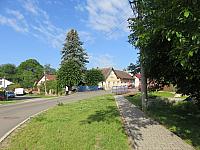 Třibřichy