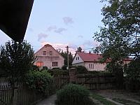 Třibřichy