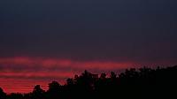 Votice