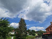 Olešná