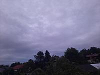 Olešná