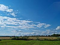 Odrovice