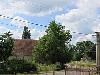 Třibřichy