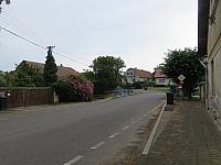 Třibřichy