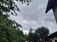 Olešná