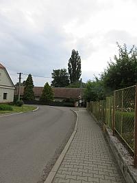 Třibřichy