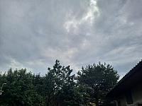 Olešná
