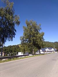Skalité