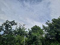 Olešná