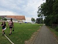 Třibřichy