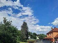 Olešná