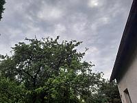 Olešná