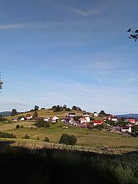 Hrčava