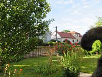 Třibřichy