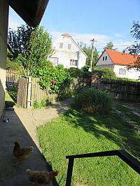 Třibřichy
