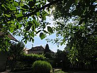 Třibřichy
