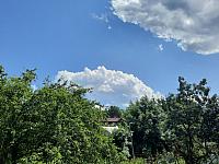 Olešná