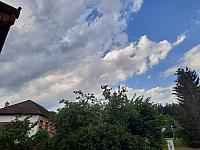 Olešná