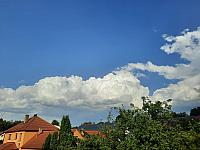 Olešná