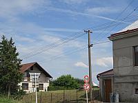Třibřichy